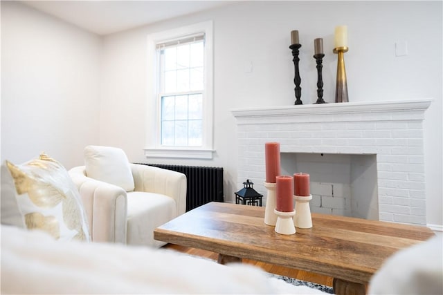 sitting room featuring radiator