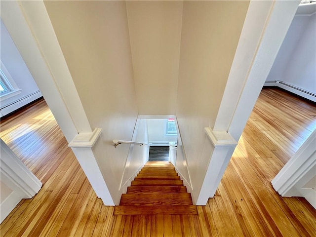 stairway with hardwood / wood-style flooring