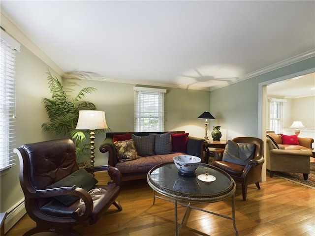 living room with a healthy amount of sunlight, crown molding, a baseboard radiator, and wood-type flooring