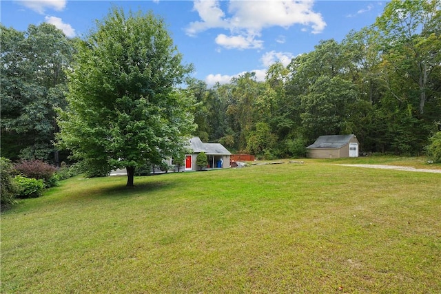 view of yard featuring a shed