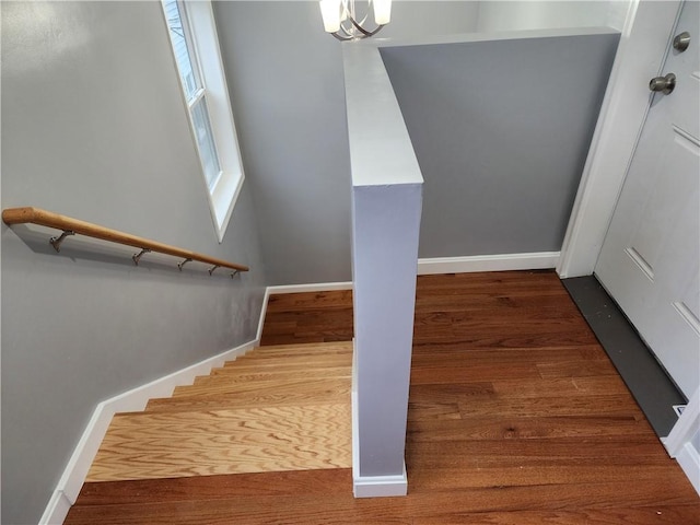 staircase with wood-type flooring