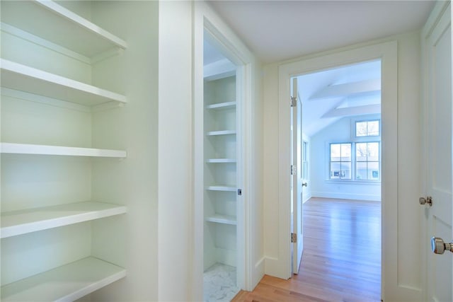 hallway featuring light hardwood / wood-style flooring and vaulted ceiling