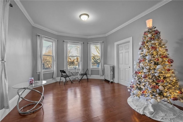 sitting room with dark hardwood / wood-style flooring, crown molding, and radiator heating unit