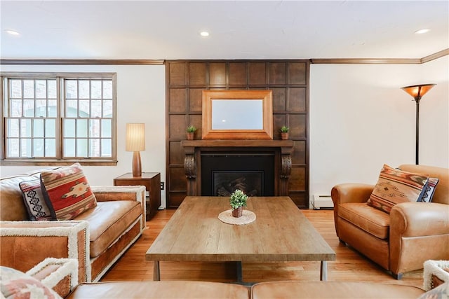 living area featuring ornamental molding, light hardwood / wood-style floors, and a baseboard radiator