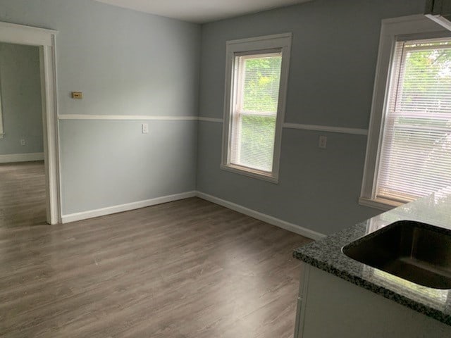 unfurnished dining area featuring sink and hardwood / wood-style flooring