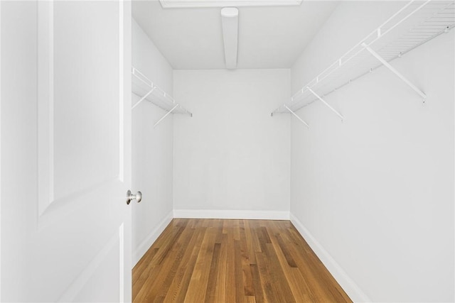 spacious closet with wood-type flooring