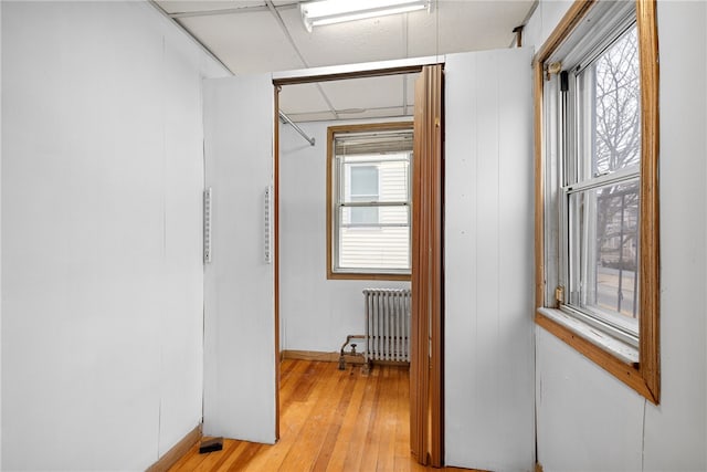 hall with radiator heating unit, a healthy amount of sunlight, and light hardwood / wood-style flooring