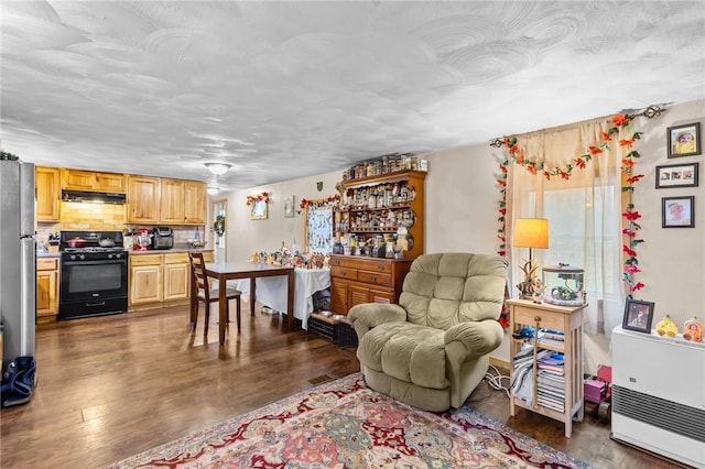 living room featuring dark hardwood / wood-style flooring