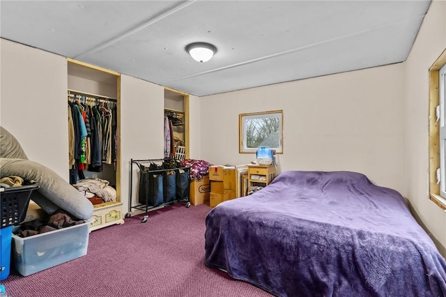 bedroom featuring carpet and a closet