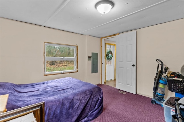 carpeted bedroom with electric panel