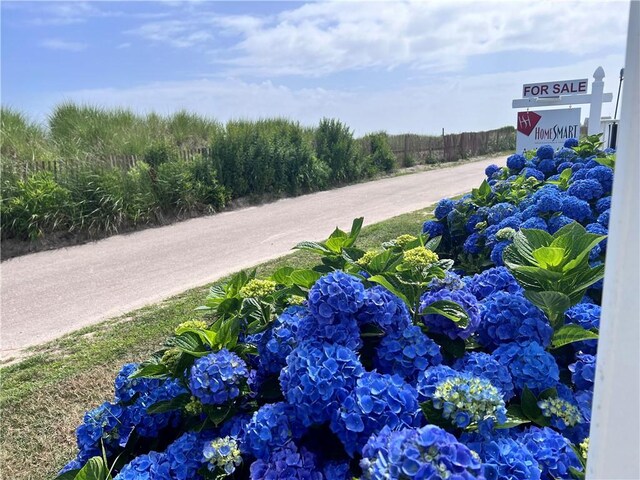 view of road