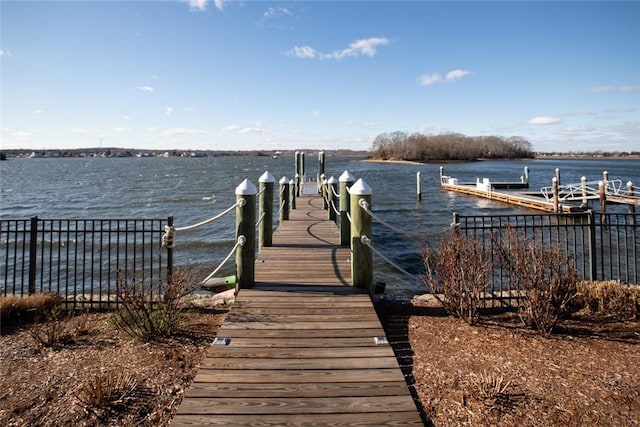 dock area with a water view