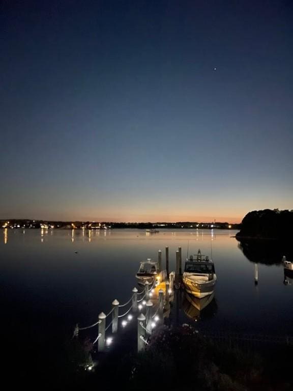 water view featuring a dock