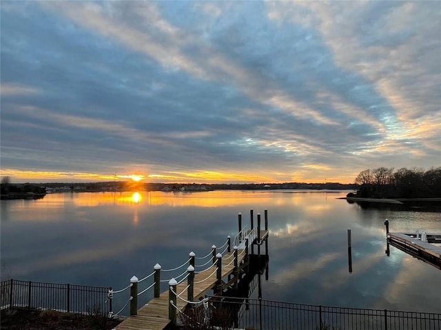 dock area with a water view