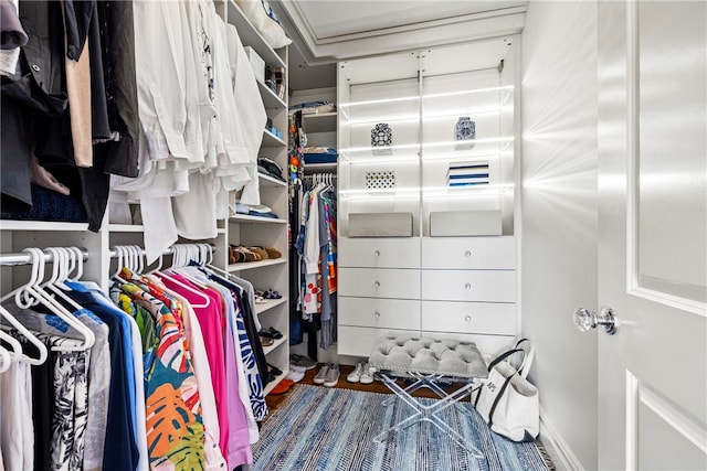 view of spacious closet