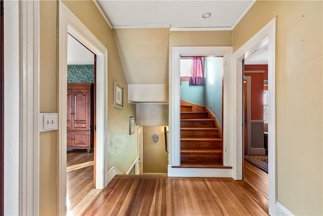 staircase featuring ornamental molding and hardwood / wood-style flooring