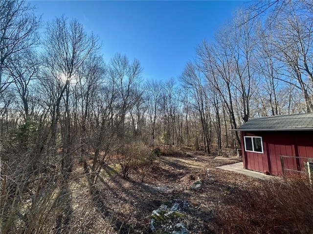 view of yard featuring a storage shed