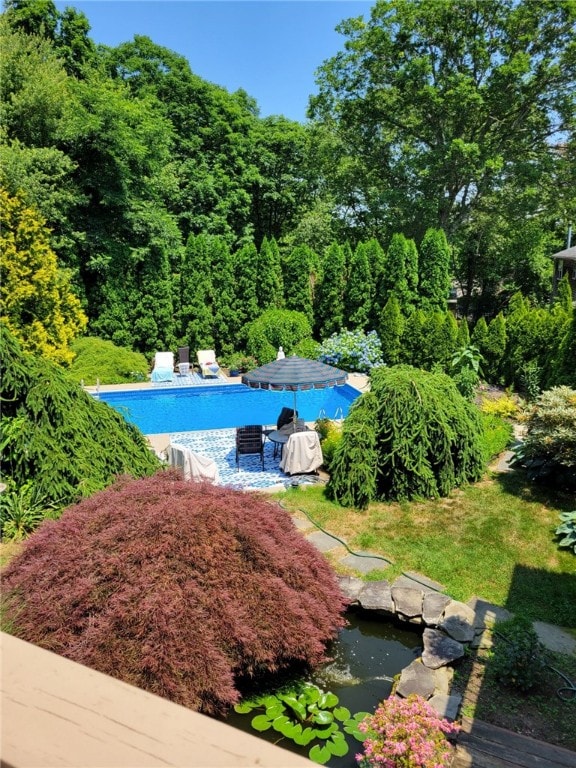 view of swimming pool