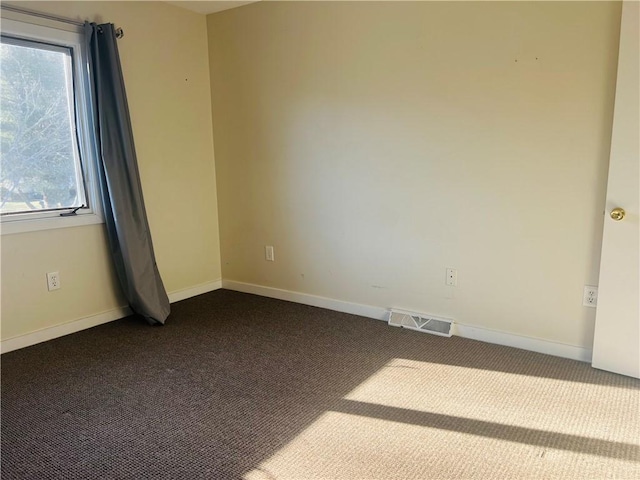 carpeted empty room featuring a wealth of natural light