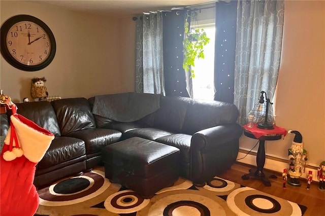 living room featuring wood finished floors