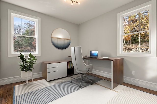 office area featuring hardwood / wood-style flooring