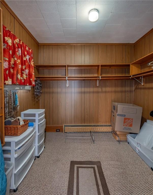 misc room with wood walls and carpet flooring