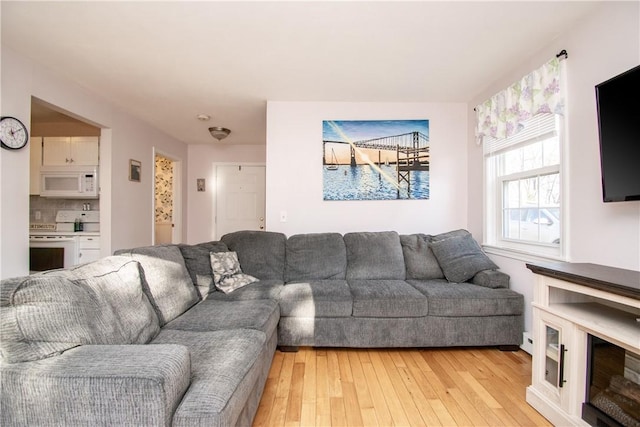 living room featuring light hardwood / wood-style flooring