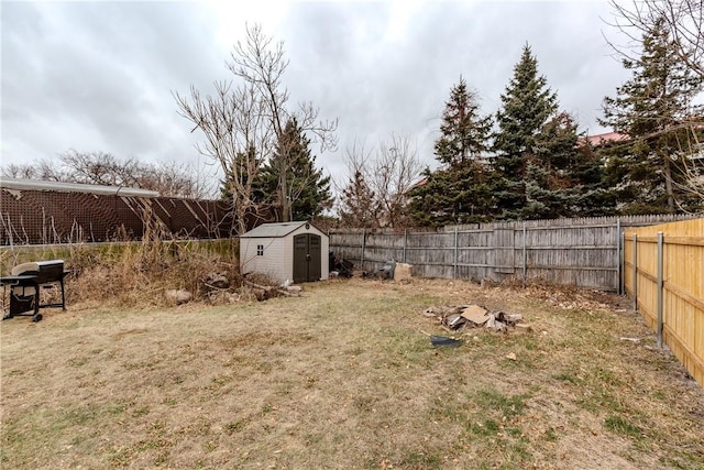 view of yard with a storage unit