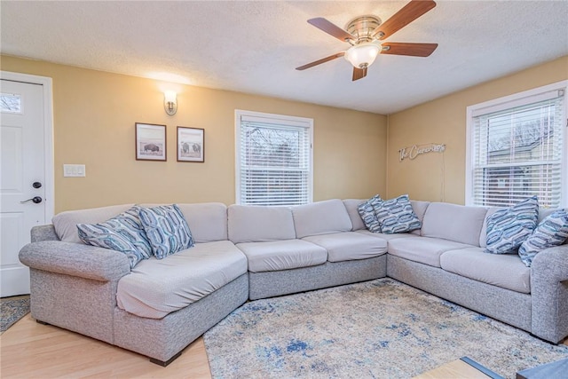 living room with ceiling fan, light hardwood / wood-style floors, and a textured ceiling