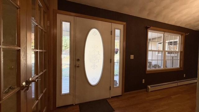 entrance foyer featuring dark hardwood / wood-style flooring, baseboard heating, and a wealth of natural light