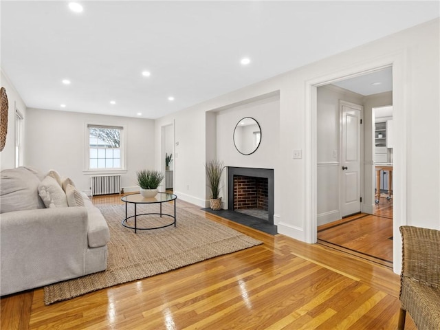 living room with wood-type flooring and radiator heating unit