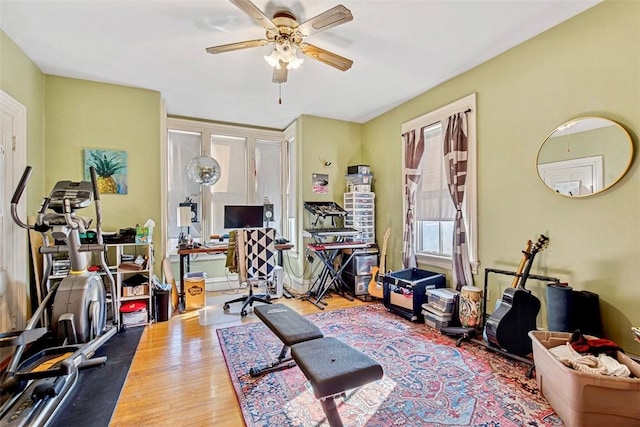 exercise area featuring ceiling fan and hardwood / wood-style flooring