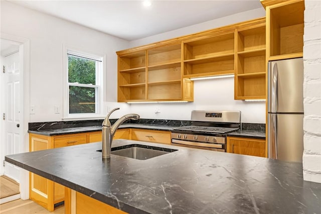 kitchen featuring sink, kitchen peninsula, light hardwood / wood-style flooring, and appliances with stainless steel finishes