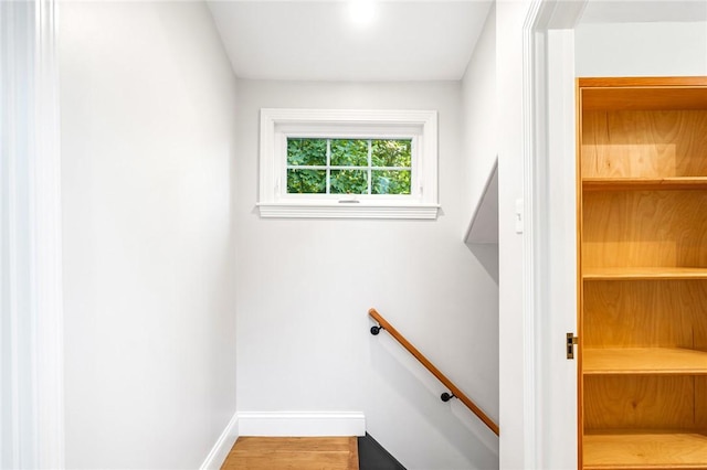 stairway with hardwood / wood-style floors