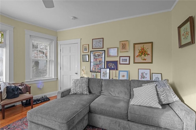 living room featuring ceiling fan, ornamental molding, and hardwood / wood-style floors