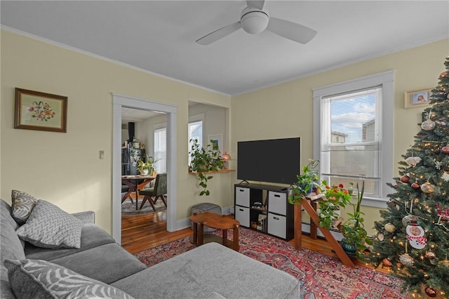 living room with ceiling fan and hardwood / wood-style flooring