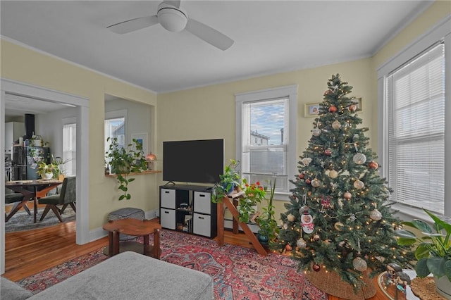 living room featuring ceiling fan, a baseboard radiator, and hardwood / wood-style floors