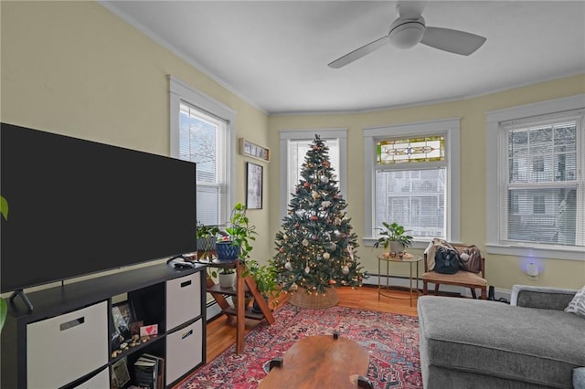 living room with ornamental molding, ceiling fan, and wood-type flooring