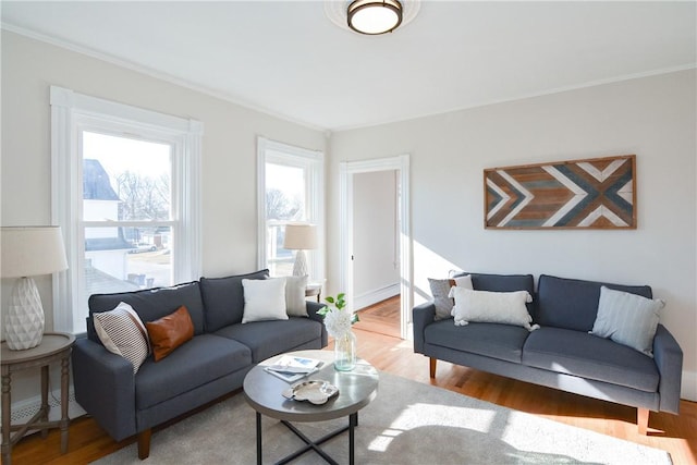 living room featuring crown molding and hardwood / wood-style flooring