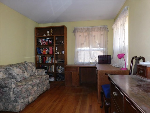 office featuring dark wood-type flooring