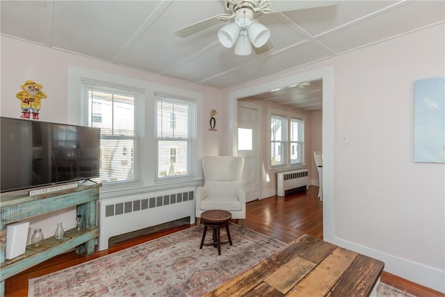 sitting room with ceiling fan, radiator heating unit, and dark hardwood / wood-style floors