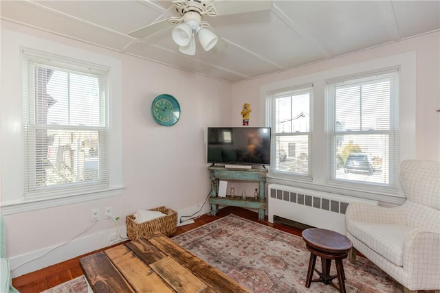 living room featuring ceiling fan, radiator heating unit, hardwood / wood-style floors, and a healthy amount of sunlight