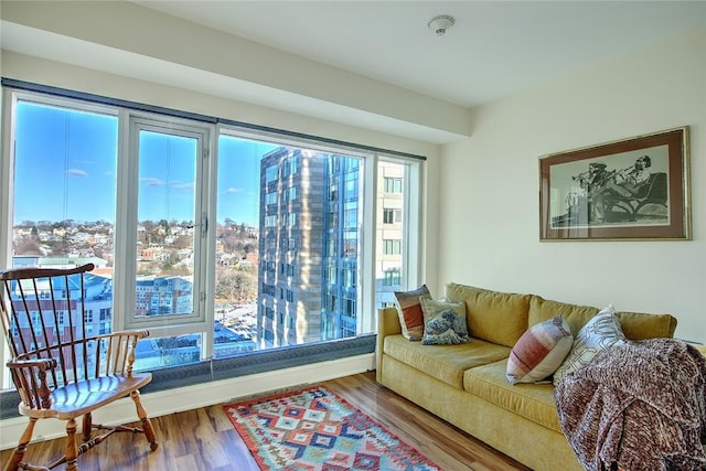 living room with hardwood / wood-style floors