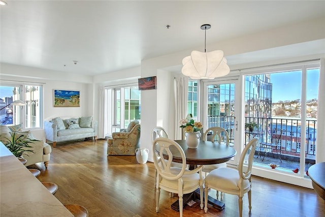 dining space featuring dark hardwood / wood-style flooring