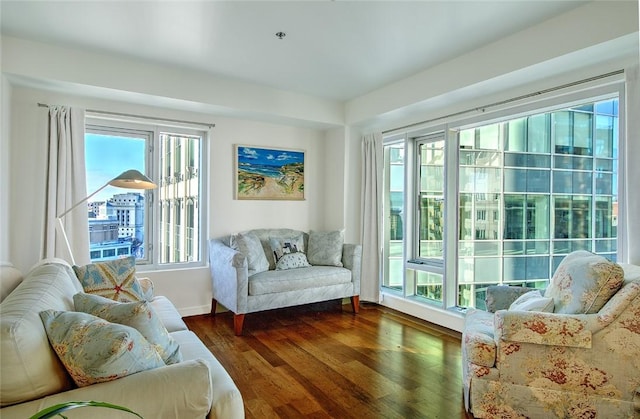 sitting room featuring dark hardwood / wood-style floors