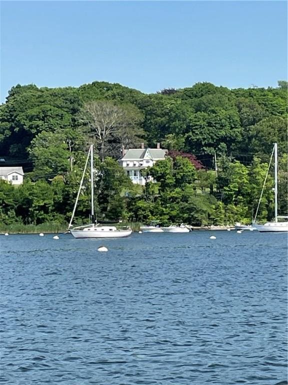 property view of water featuring a forest view