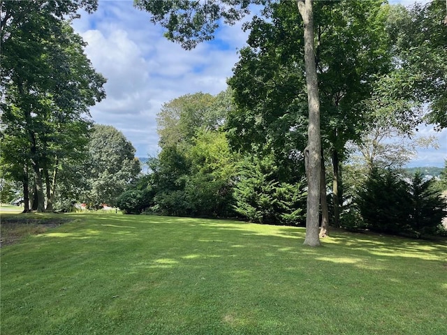 1660 Main Rd, Tiverton, RI 02878 - view of green lawn