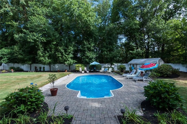 view of pool featuring a patio, a yard, and an outdoor structure