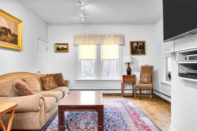 living room with track lighting and wood-type flooring