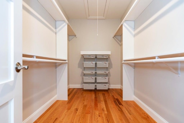 walk in closet with light hardwood / wood-style floors